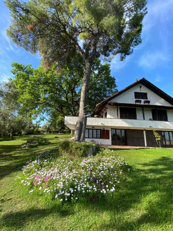 Wild Oaks Cottage Kriopigi Exterior foto